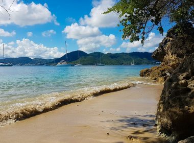 blue body of water near green trees under blue sky and white clouds during daytime