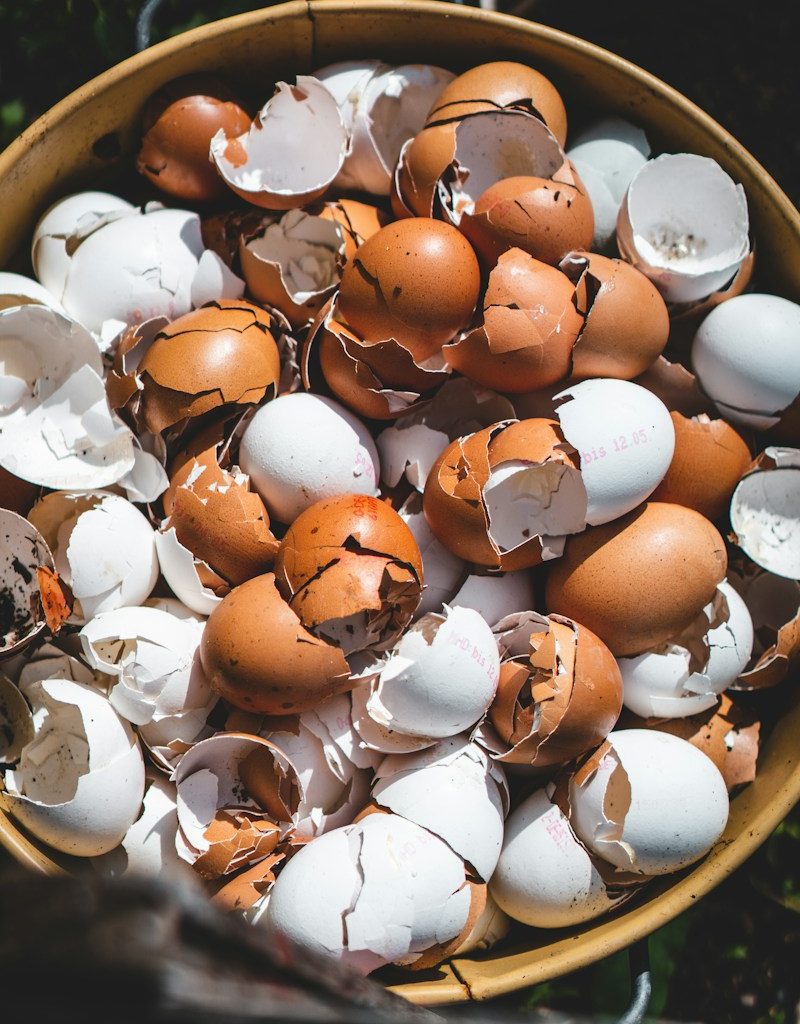 brown and white plastic egg toy