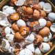 brown and white plastic egg toy