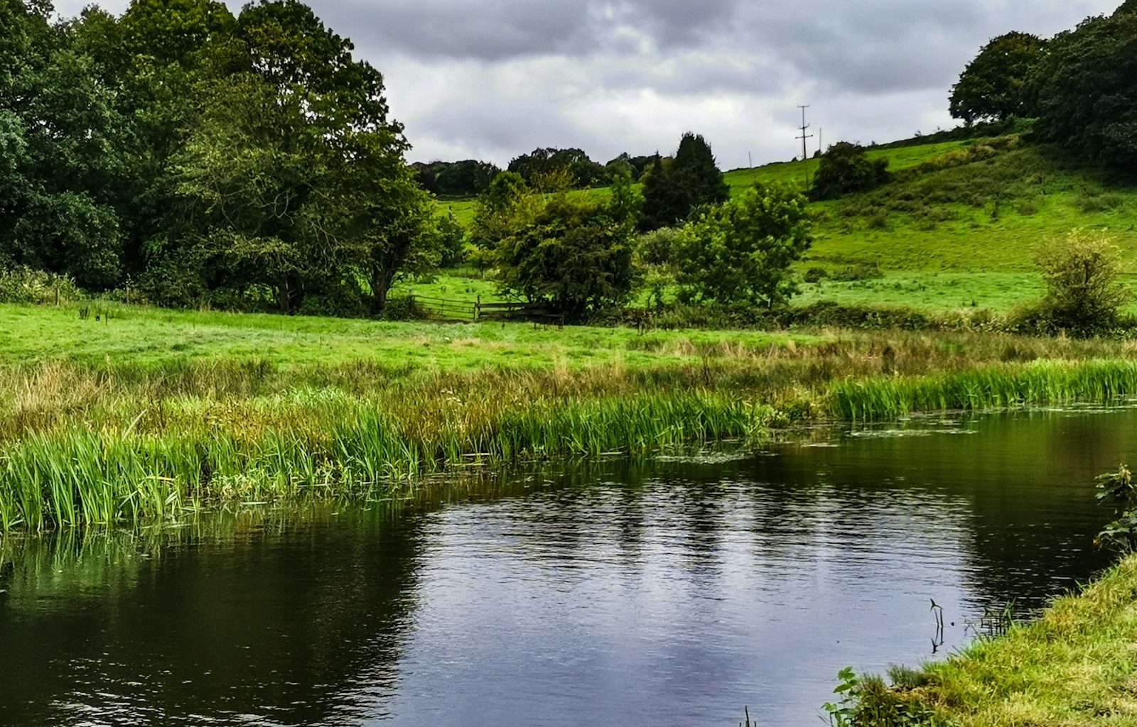 green grass field near river under cloudy sky during daytime